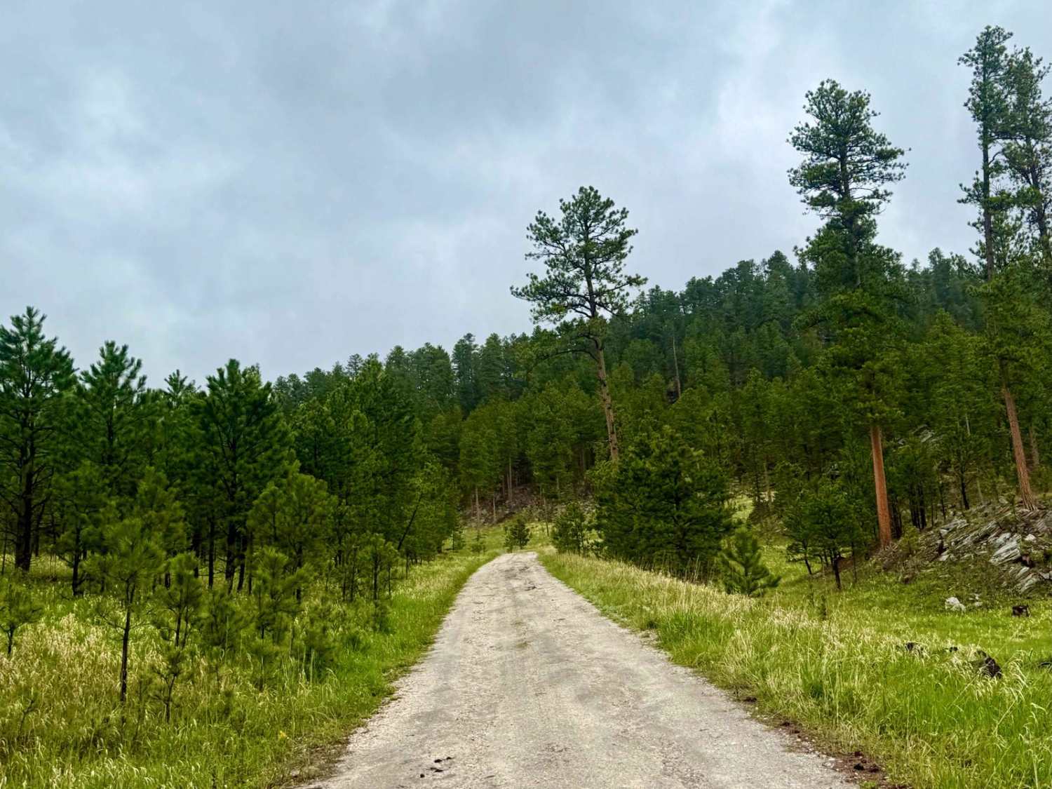 Cowboy Gulch 