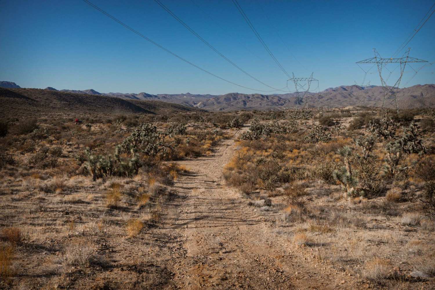 Another Powerline Road Too