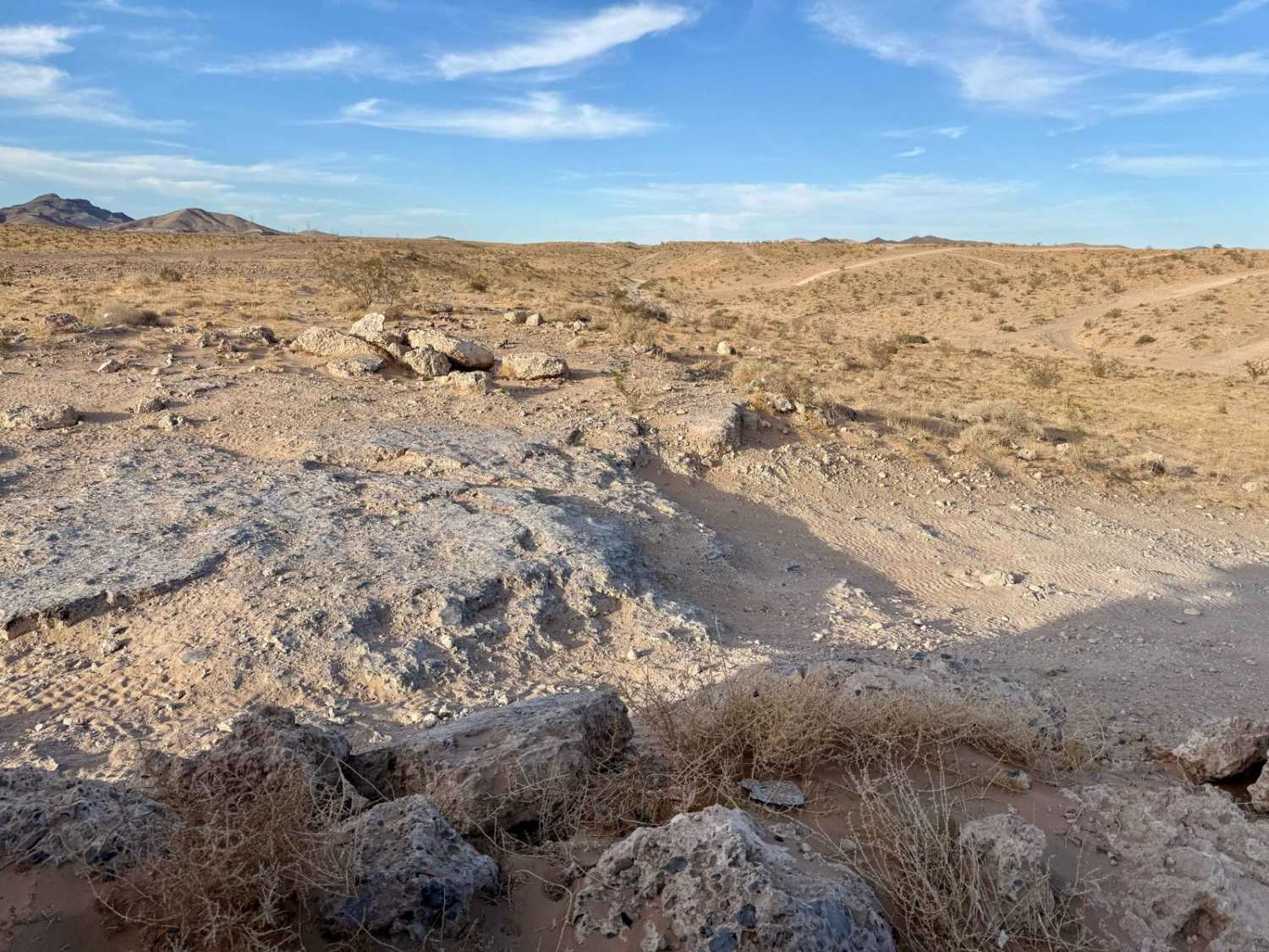 Nellis Bypass West