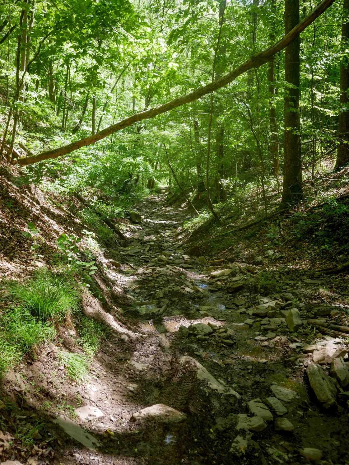 Trail 26 Razor Bypass 