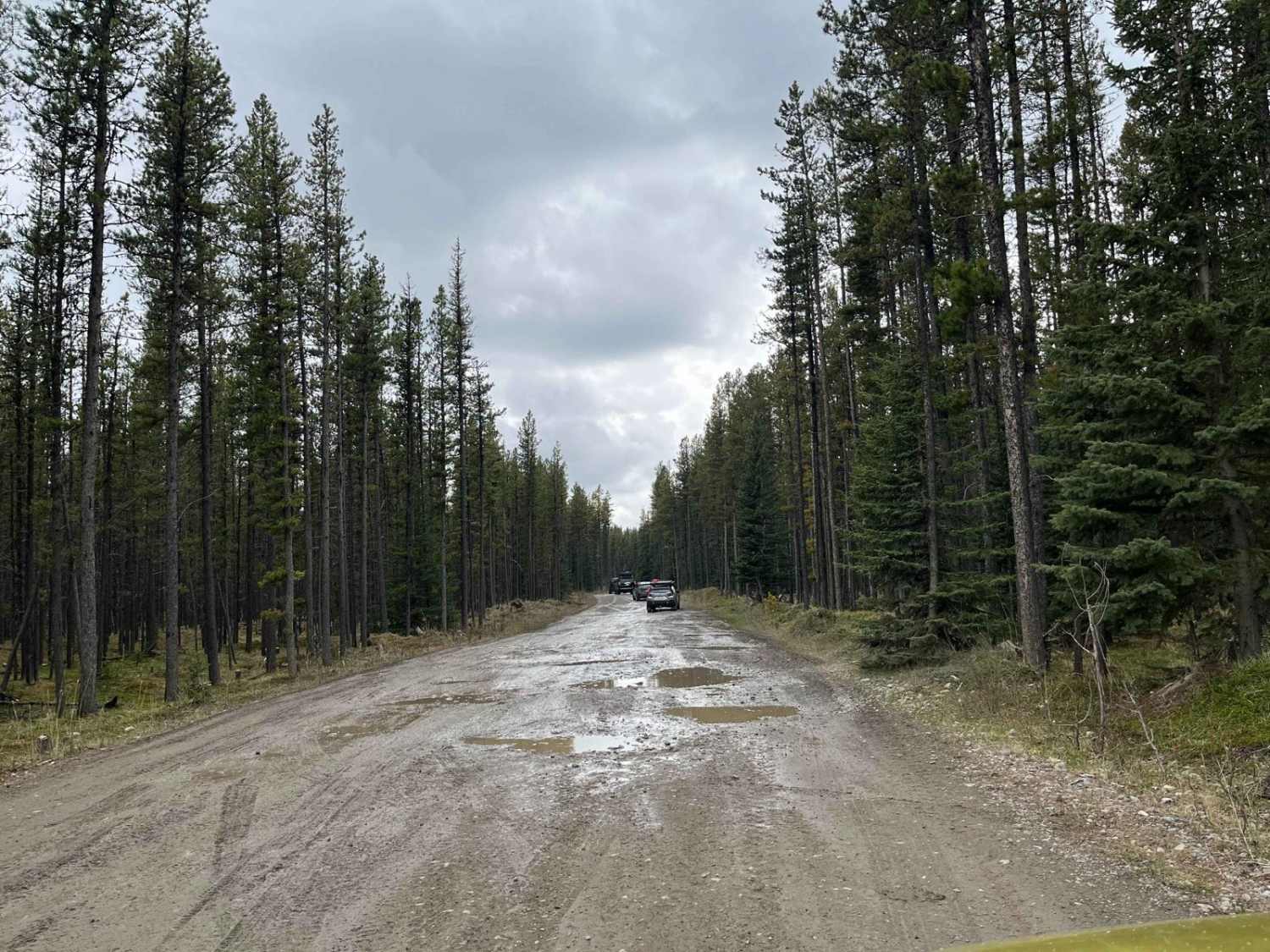 Waiparous Creek Road
