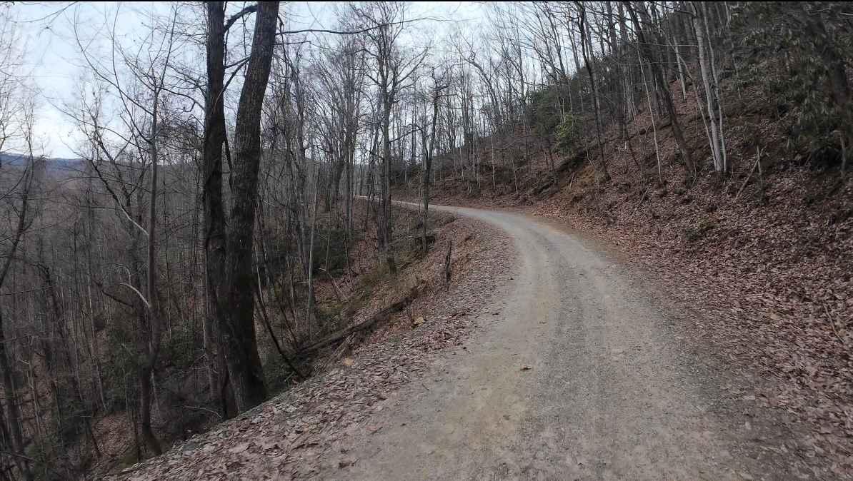 Tatham Gap Road - FS 423
