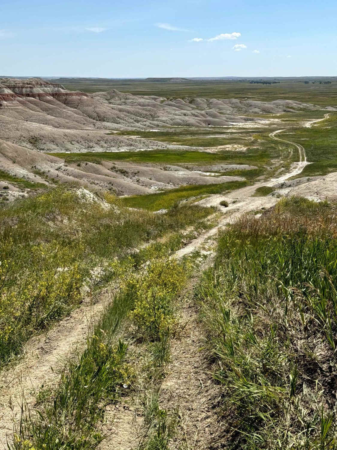 Buffalo Gap Nat Grassland North