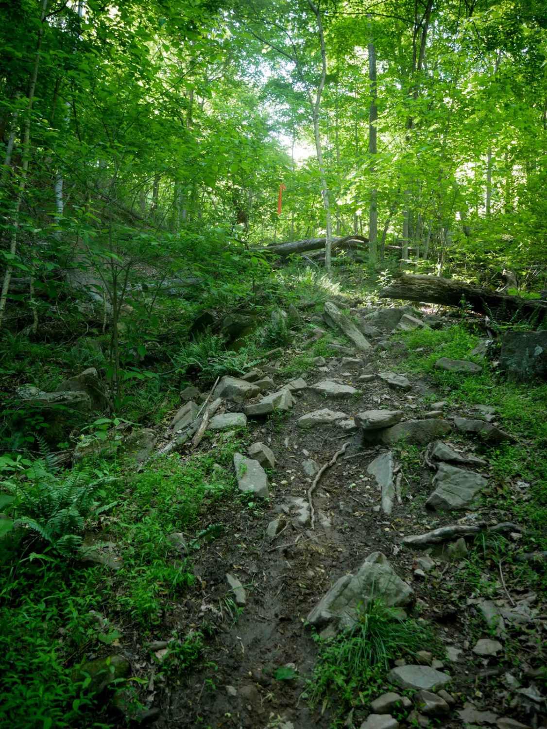 River Road
