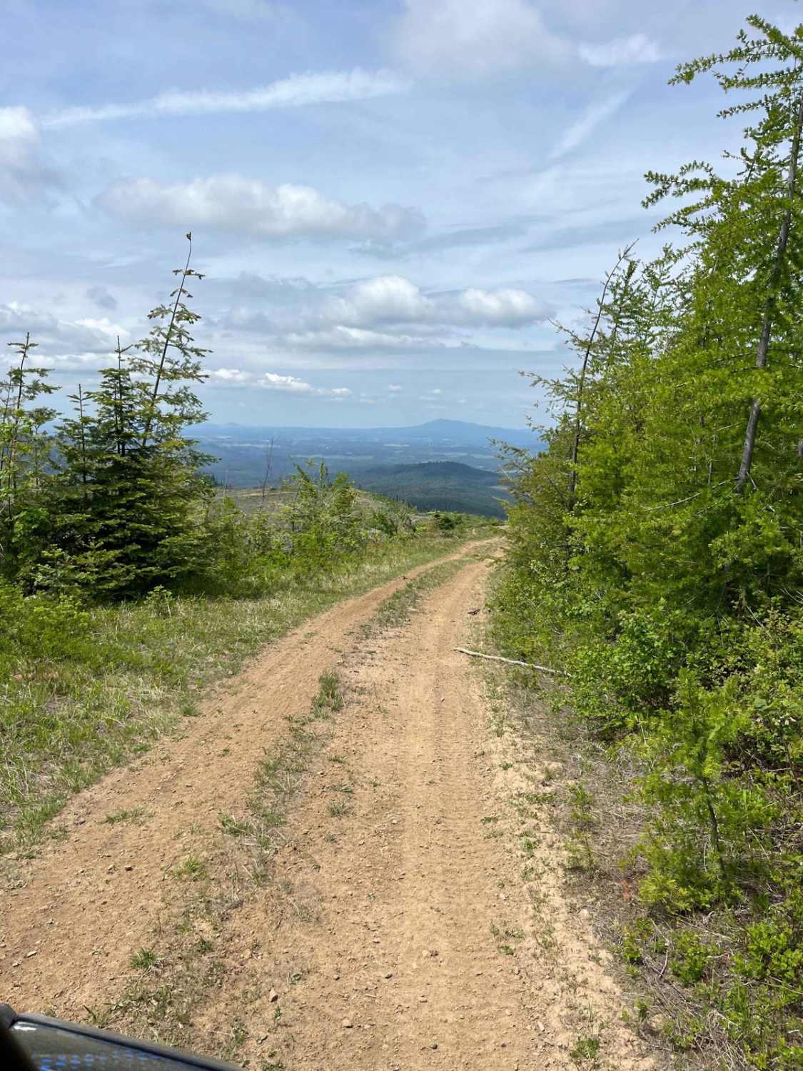 National Forest Development Road 3308