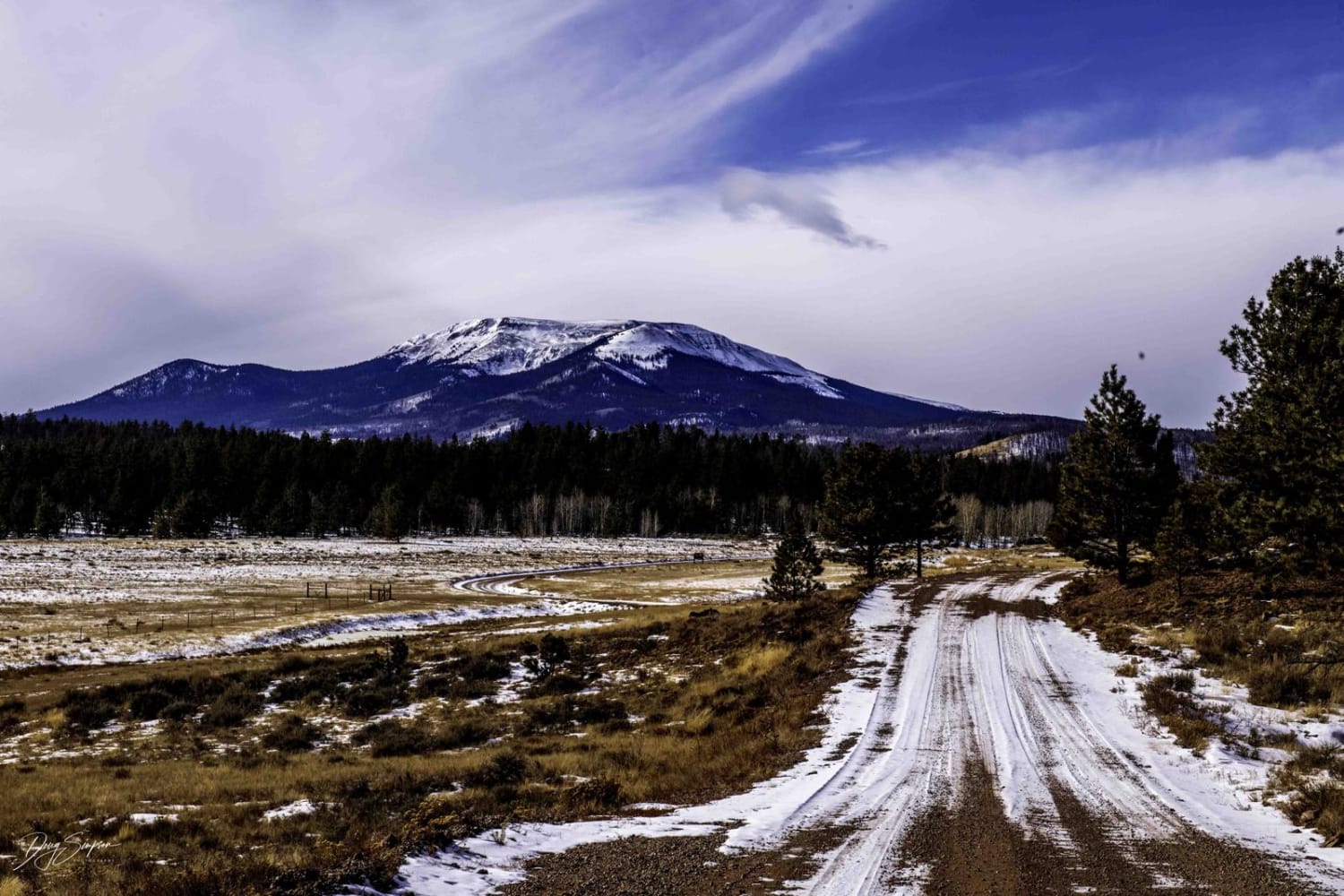 Buffalo Peaks Road - 431