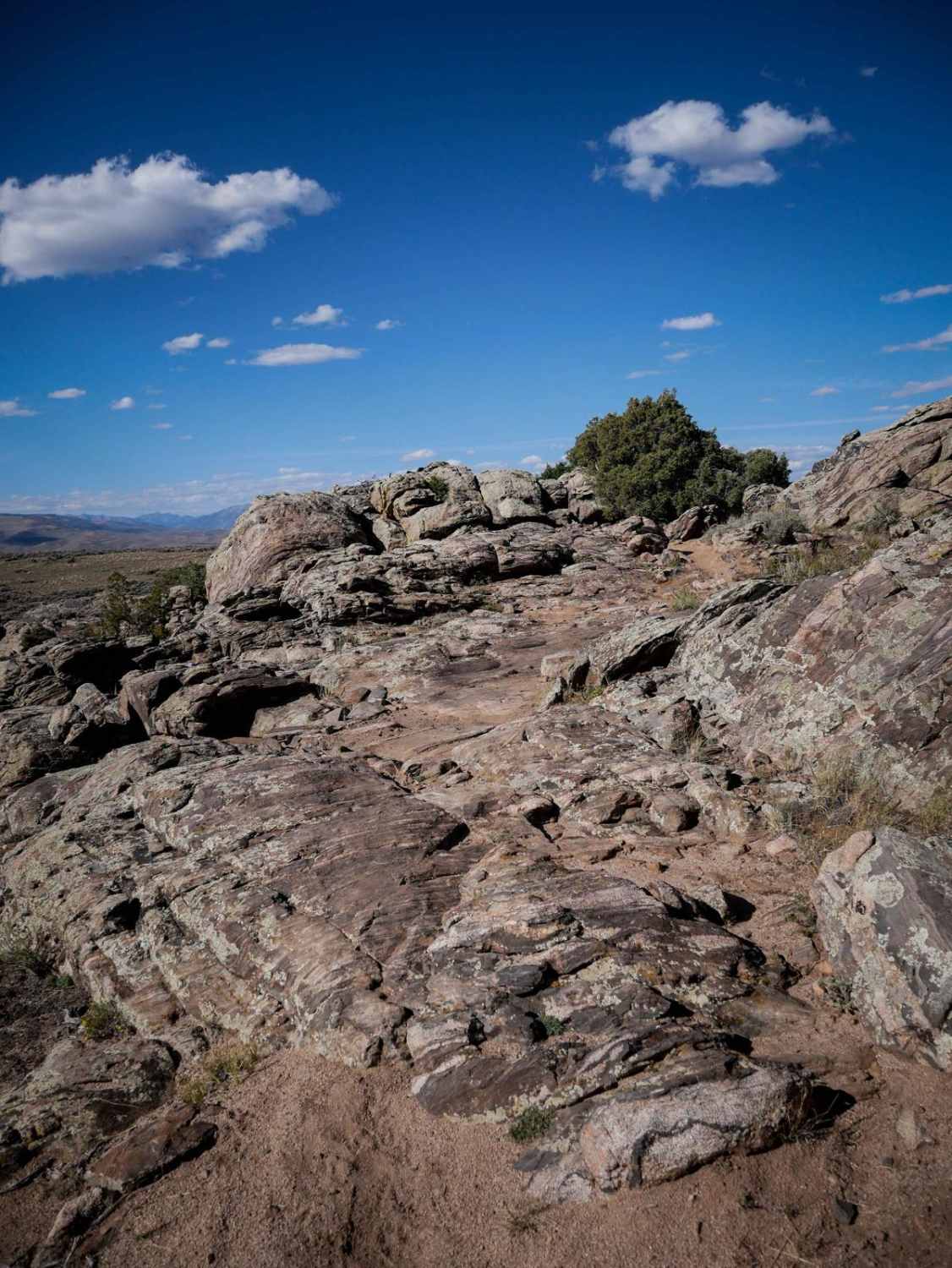 Sawtooth