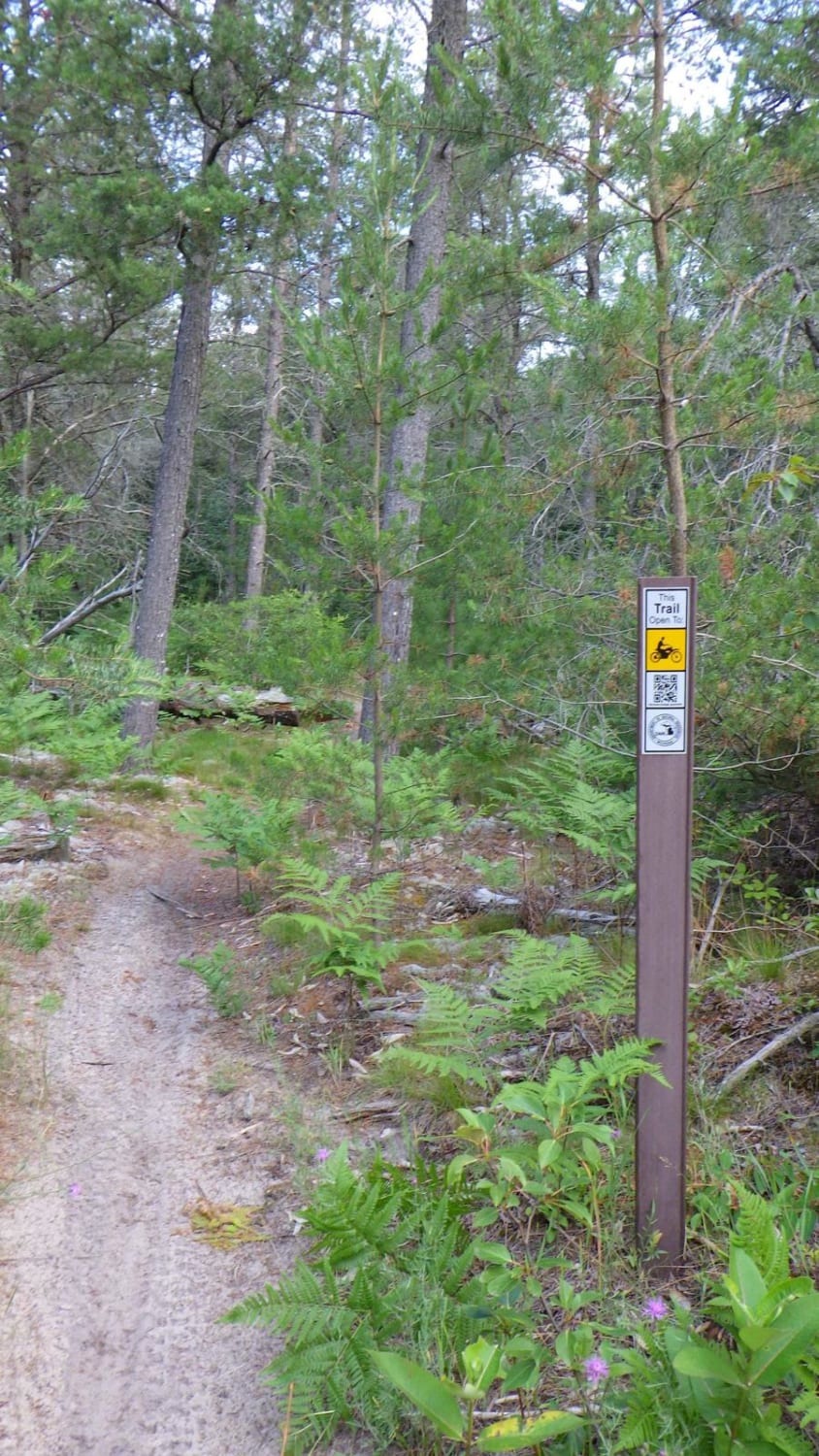 Brevort-Trout Lake Motorcycle Trail East