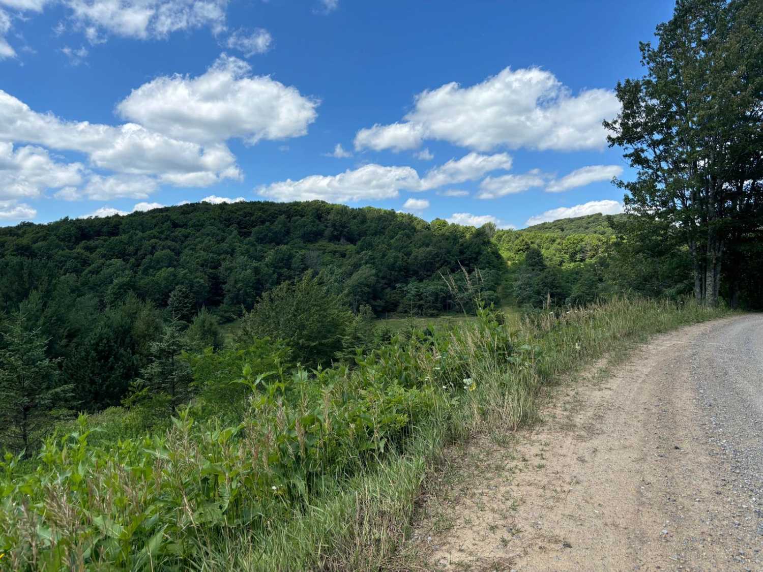 Spruce Mountain Trail