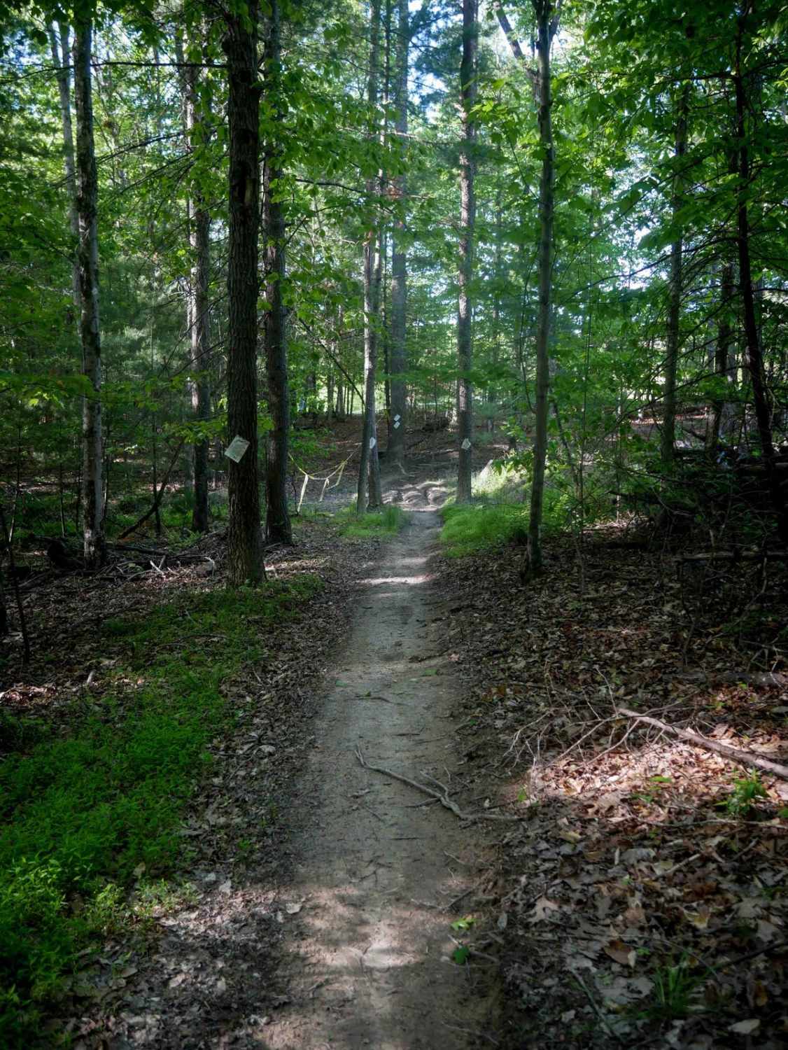 Single Track 3
