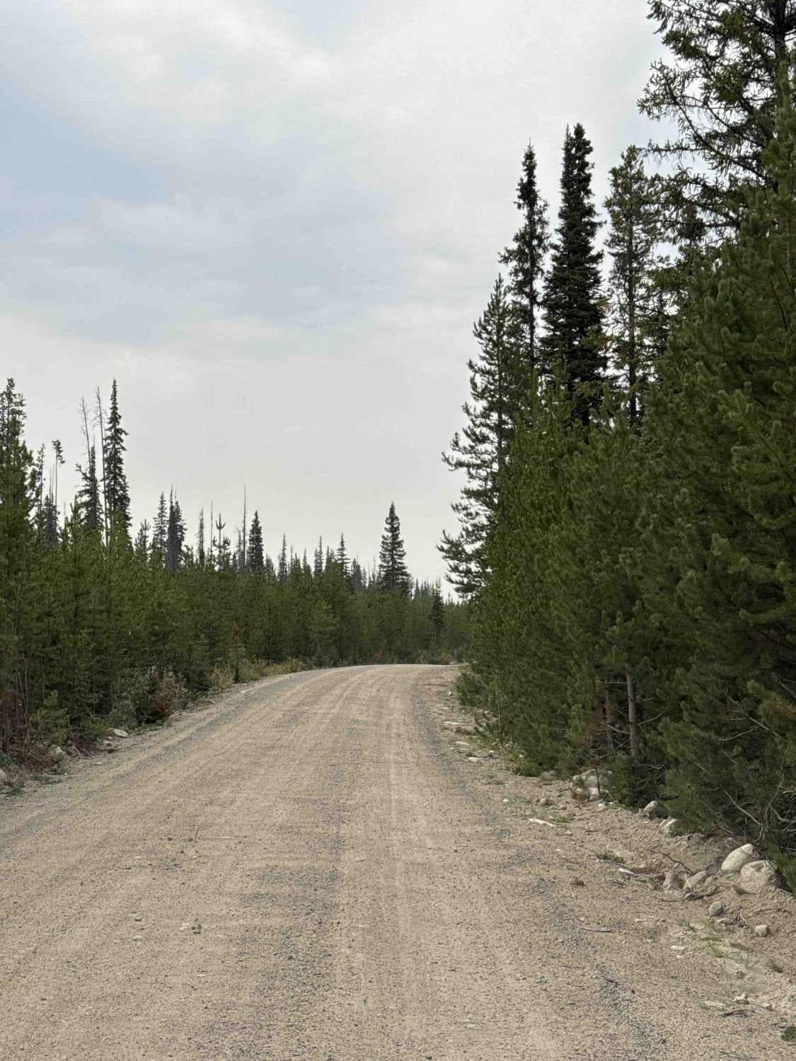 Hatheume Lake Forest Service Road