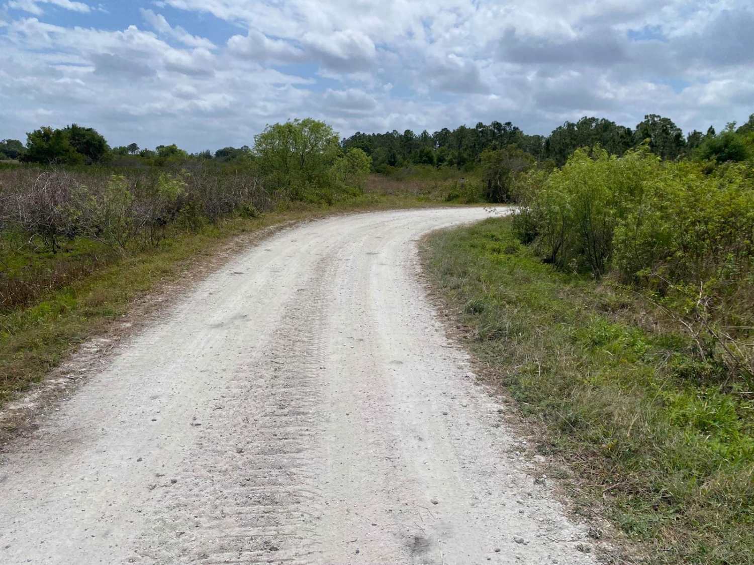 Albritton Loop
