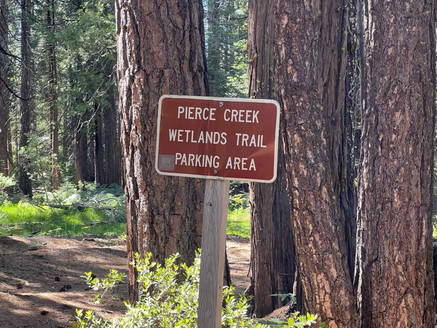 Pierce Loop