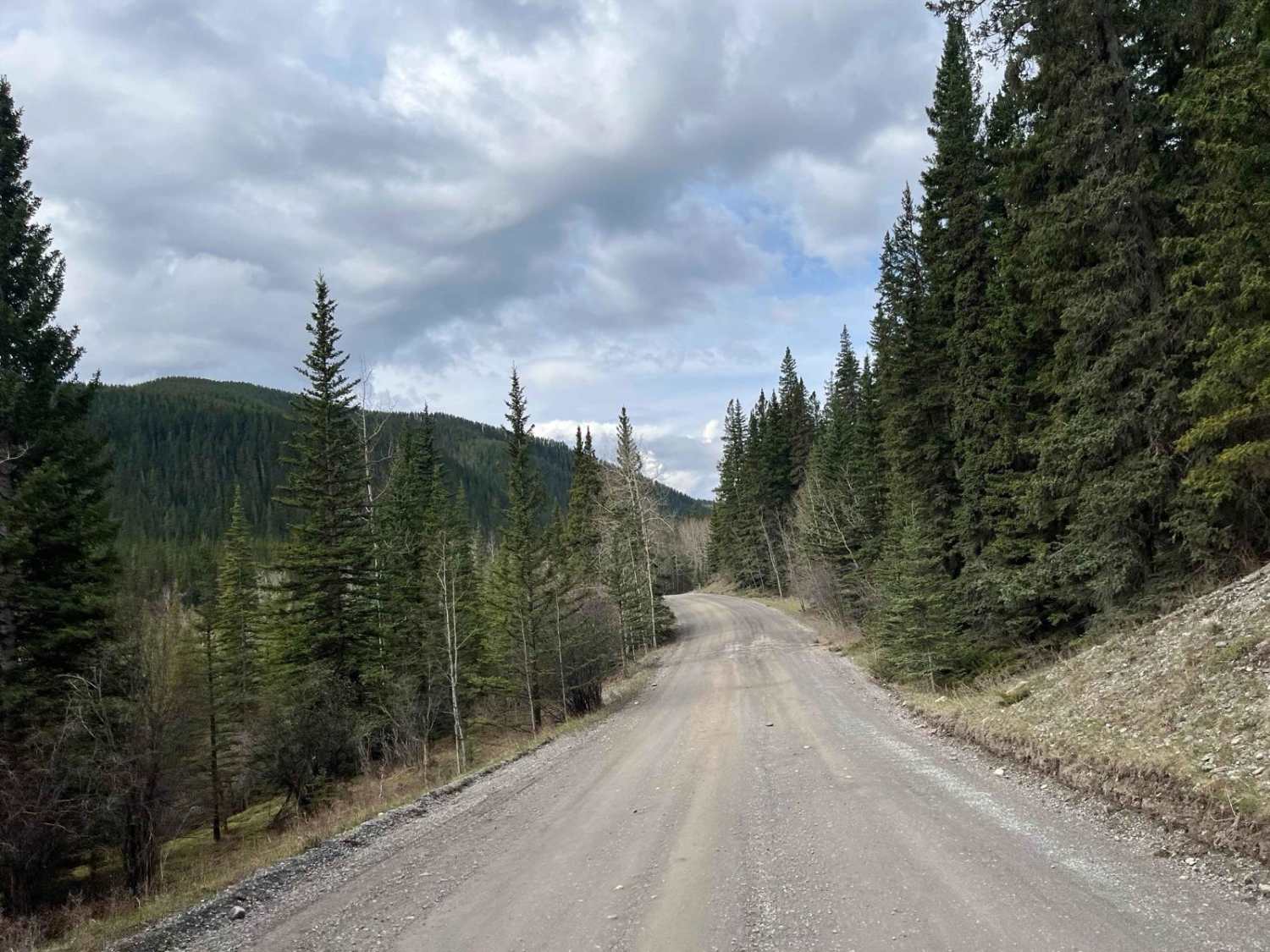 Waiparous Valley Road