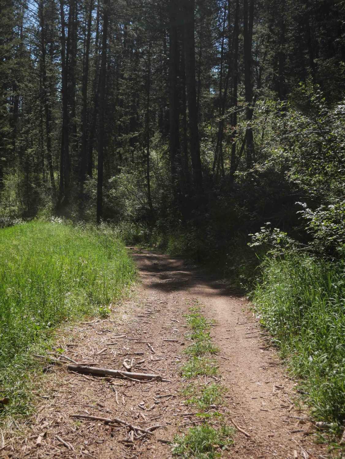 Trail Canyon East #5250 