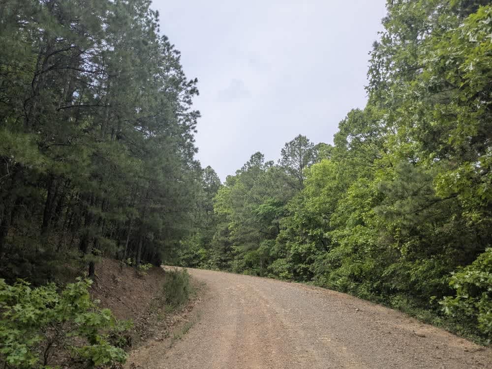 Wicked Creek