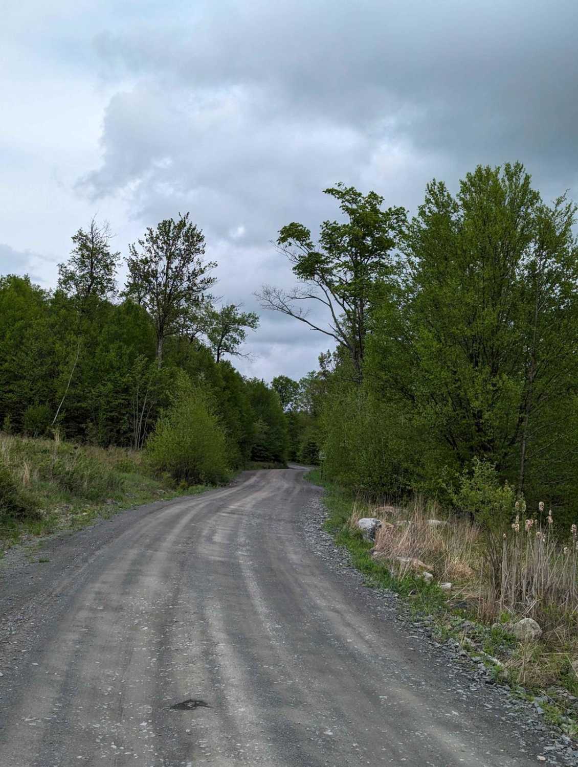 State Game Road