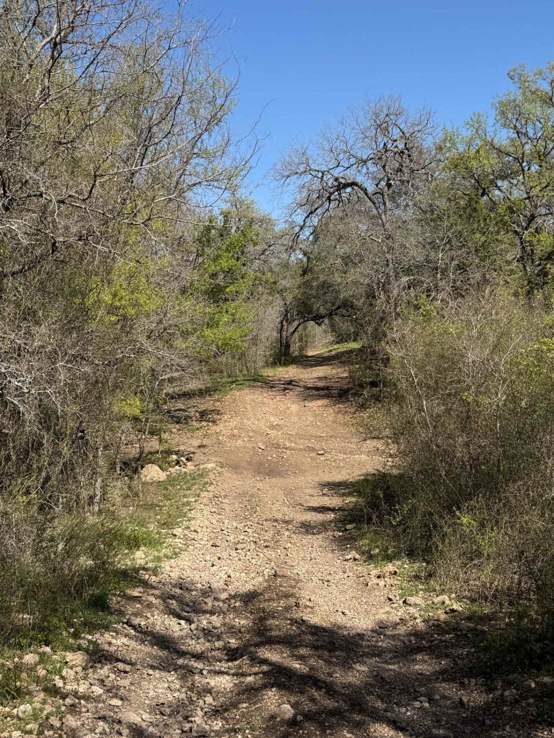 West Side Fence Line