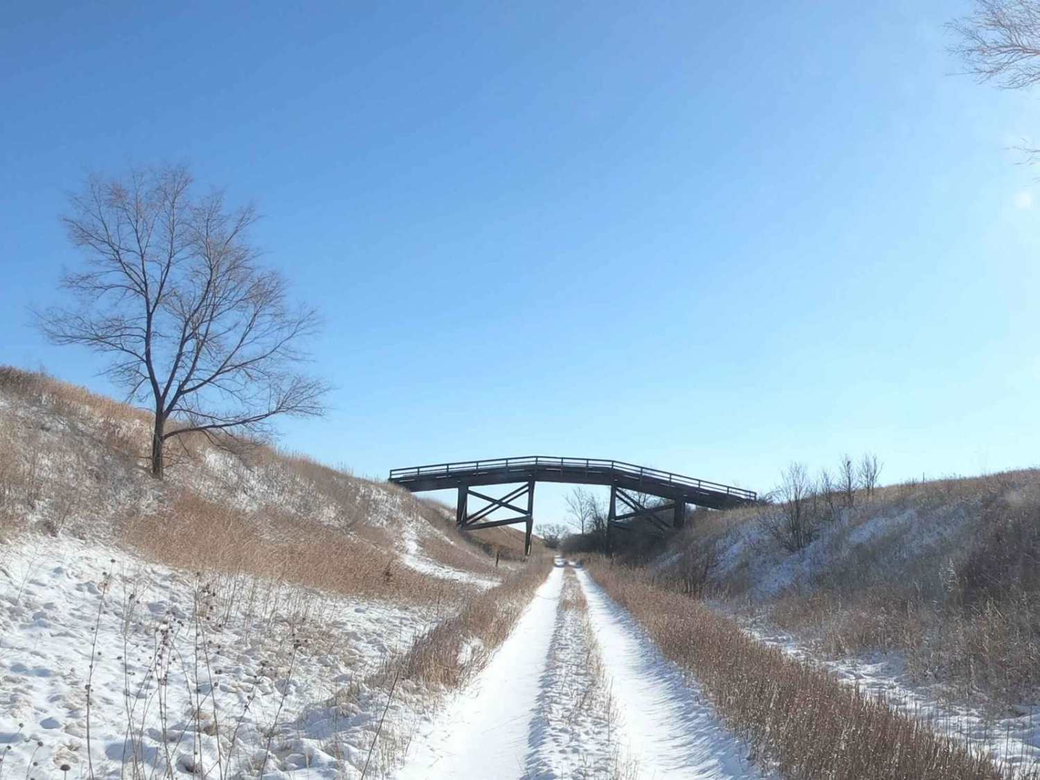 RoughRider Trail