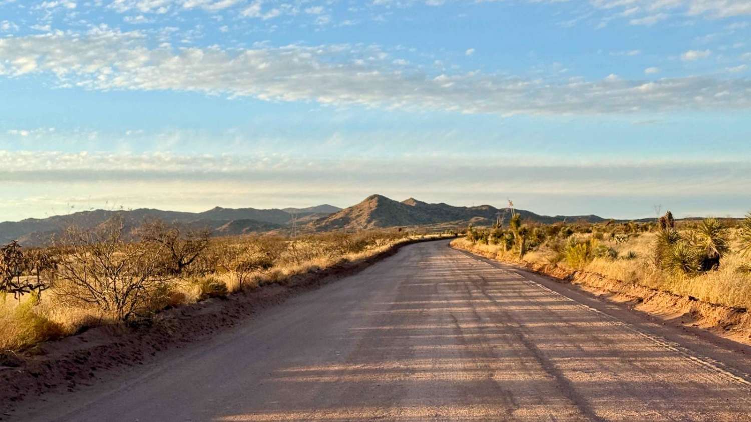 Willow Springs Road