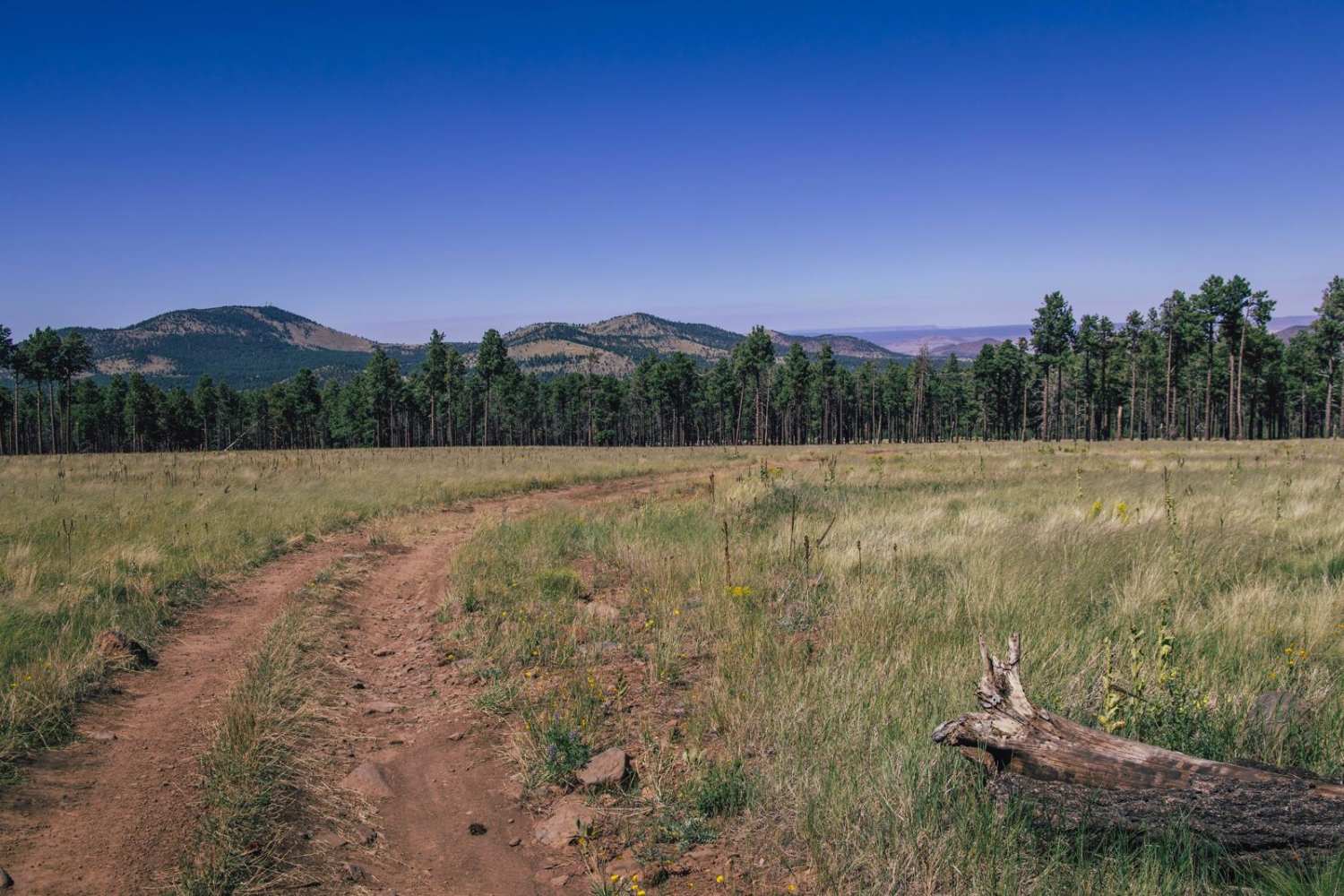 High Grass Crossing