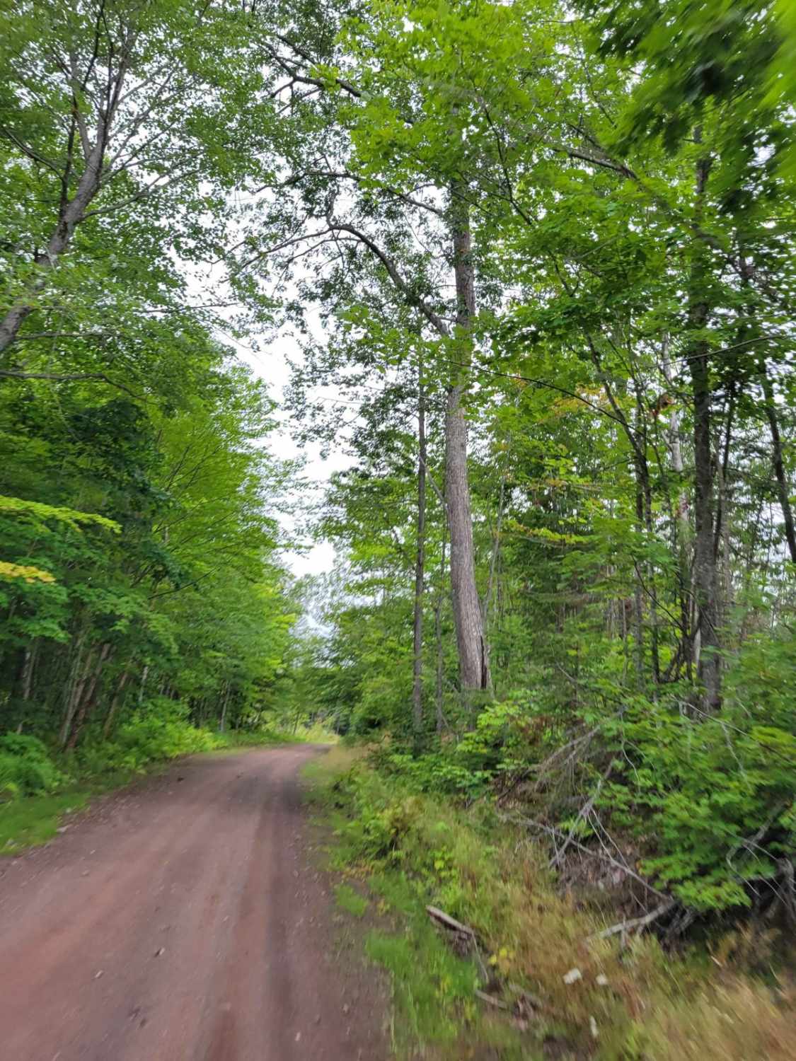 Keweenaw State Trail Segment 2