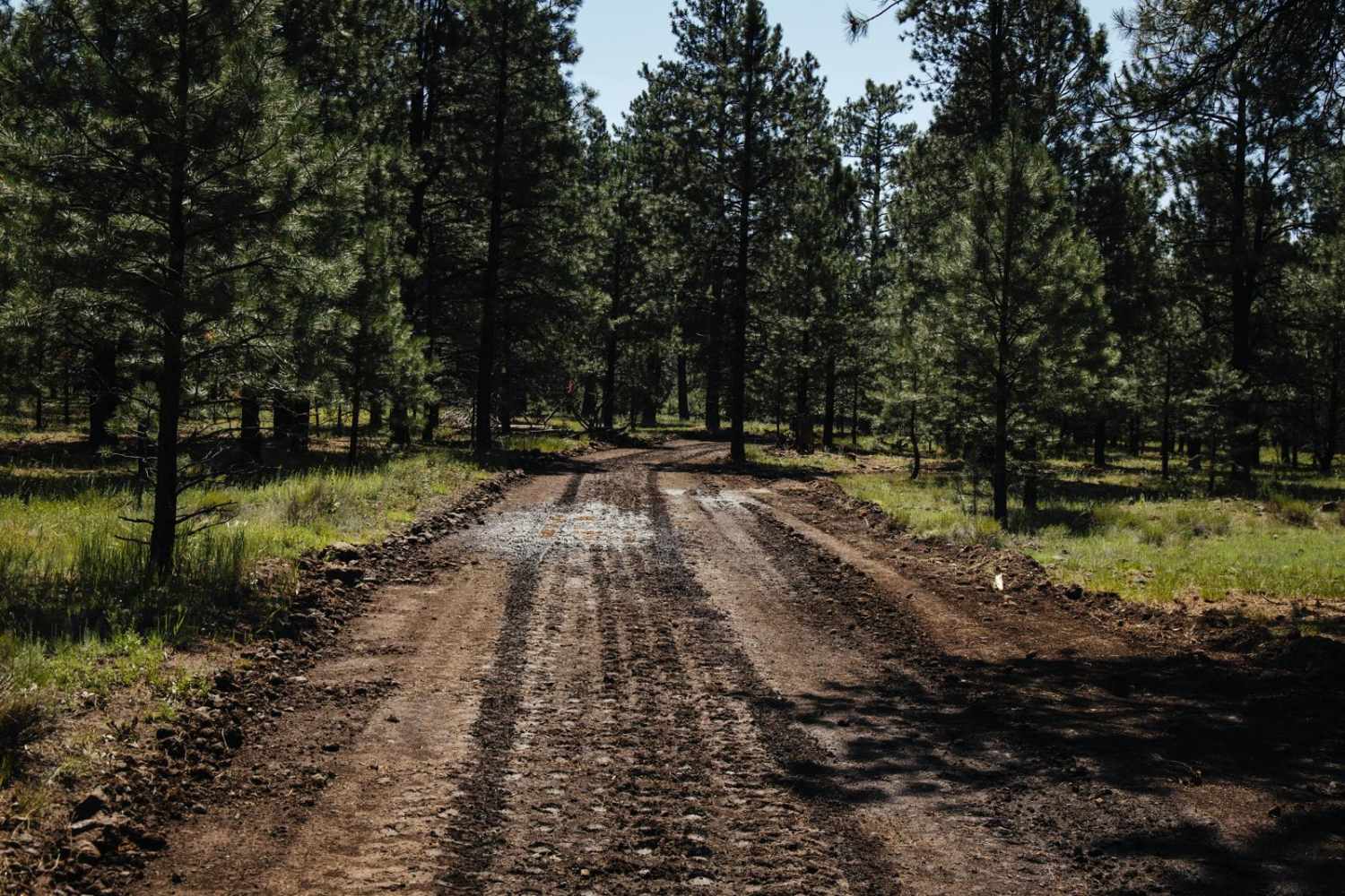 Mud Logger