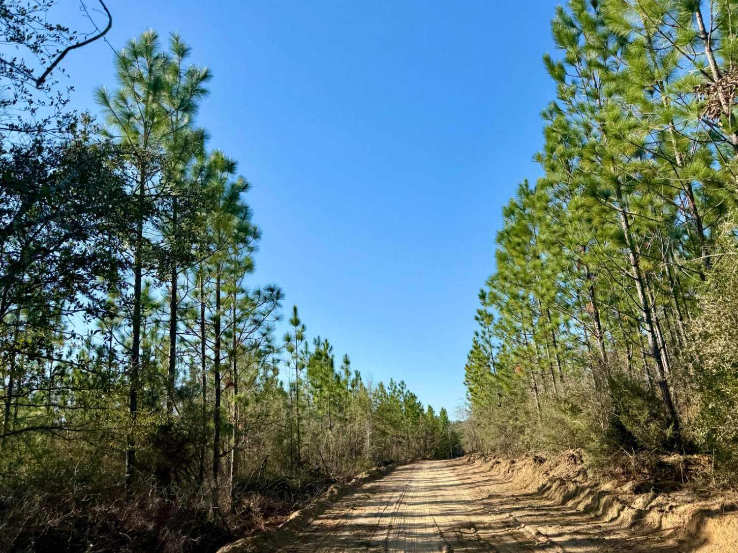 Bluff Landing Loop 