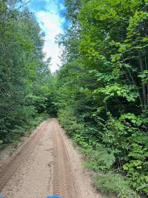 Wilderness Road