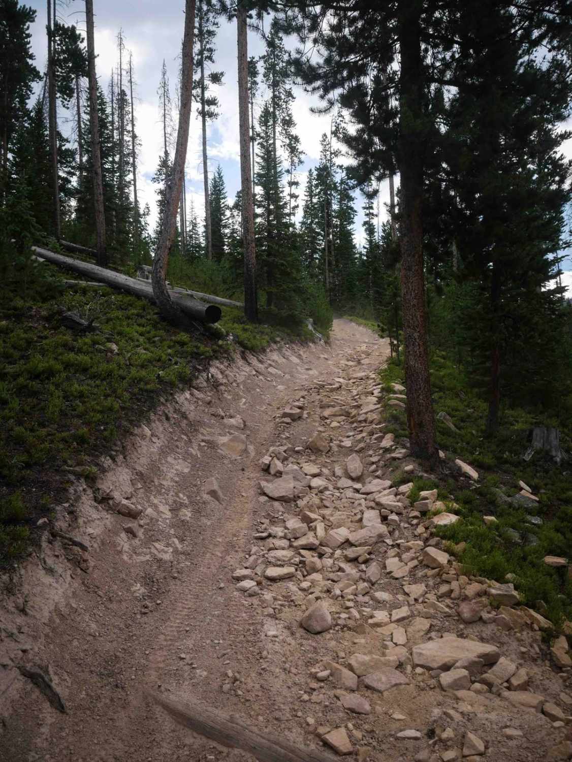 Illinois Ditch Trail