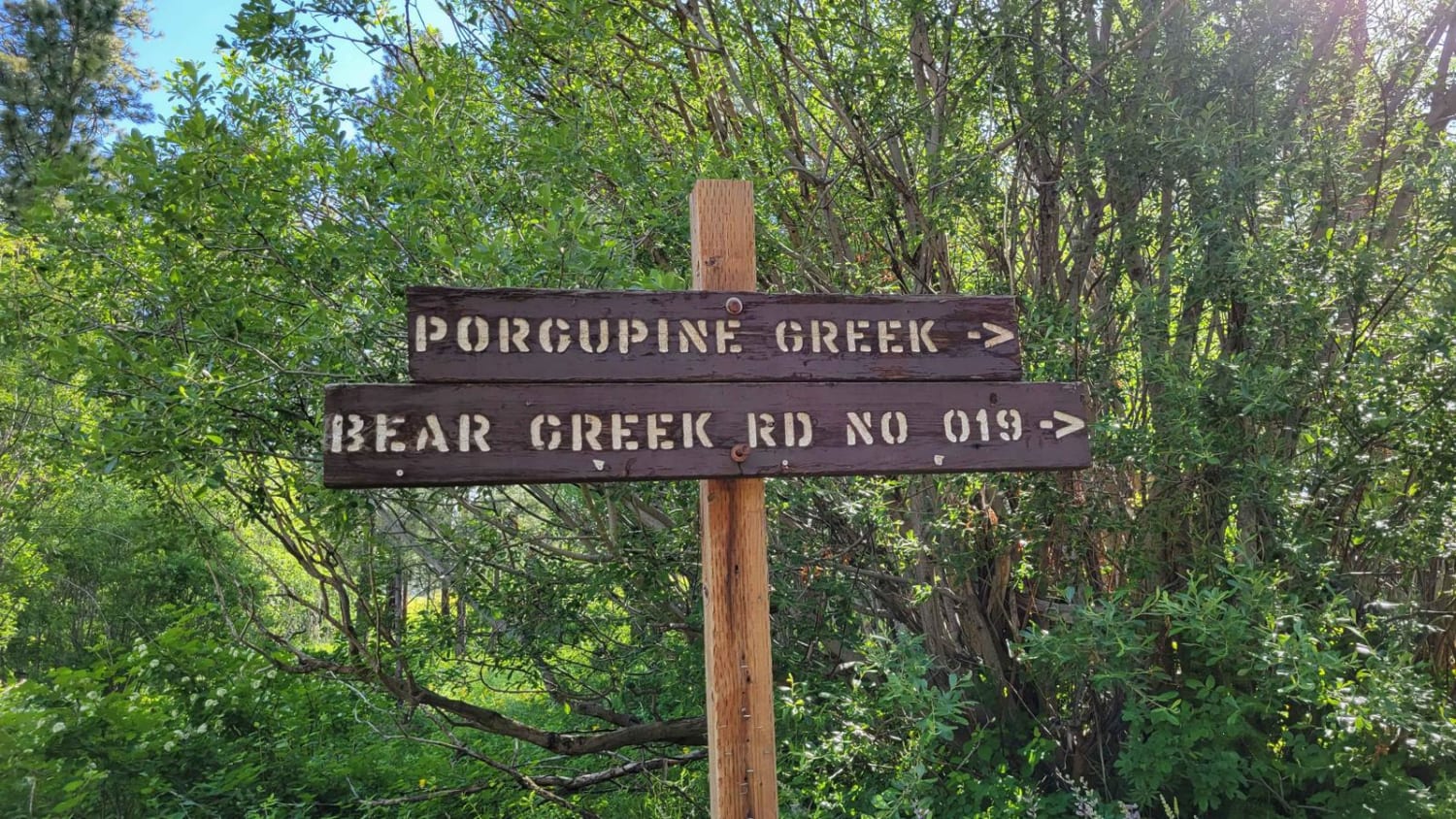 NR 019 - Bear Creek Saddle