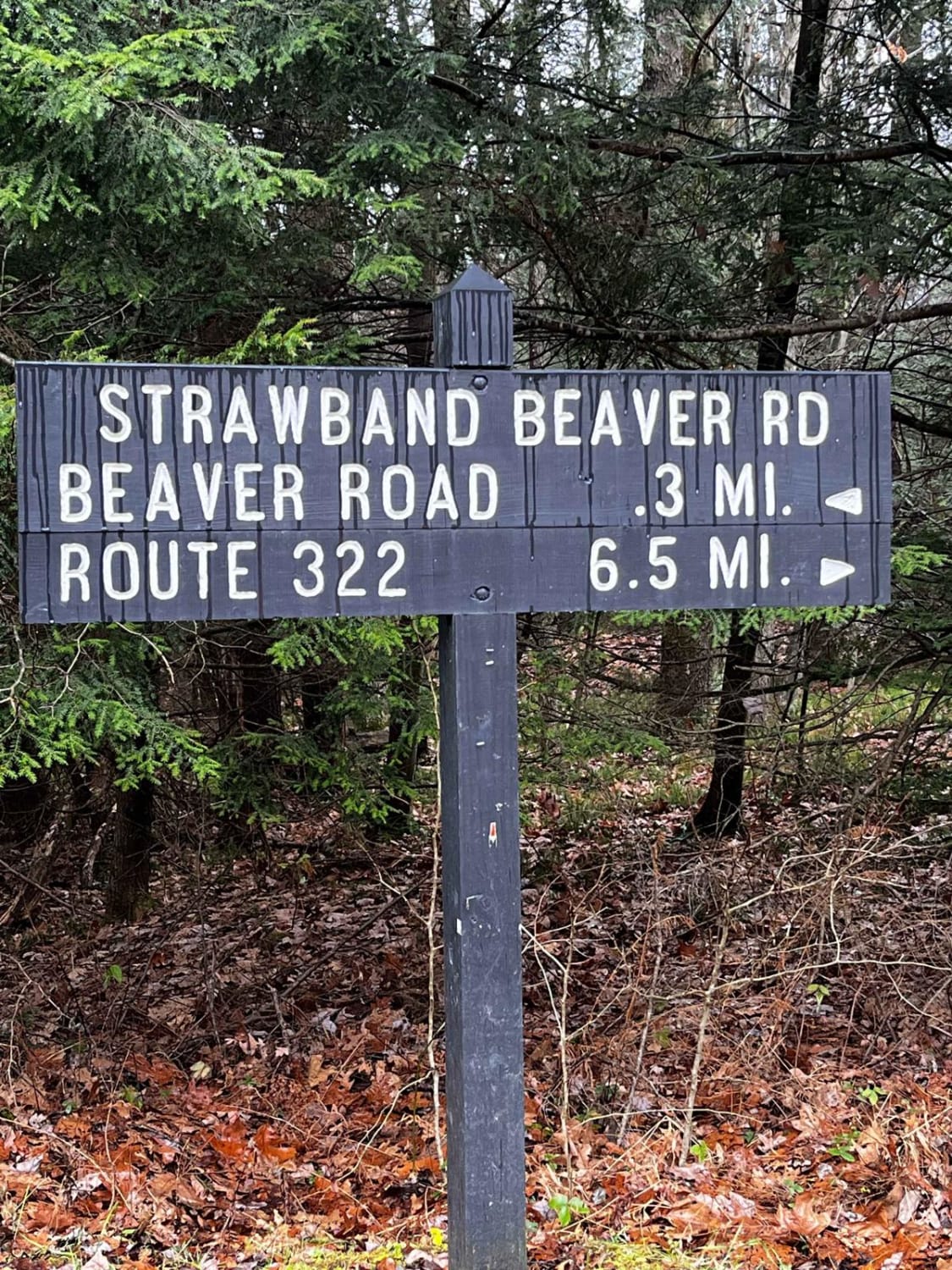 Strawband Beaver Road