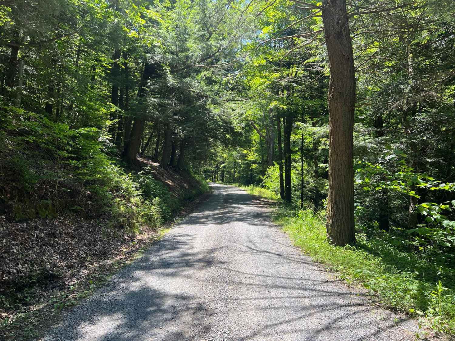 Thompson Hollow Road