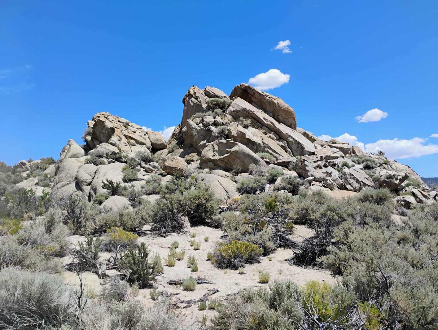 Ridgeline
