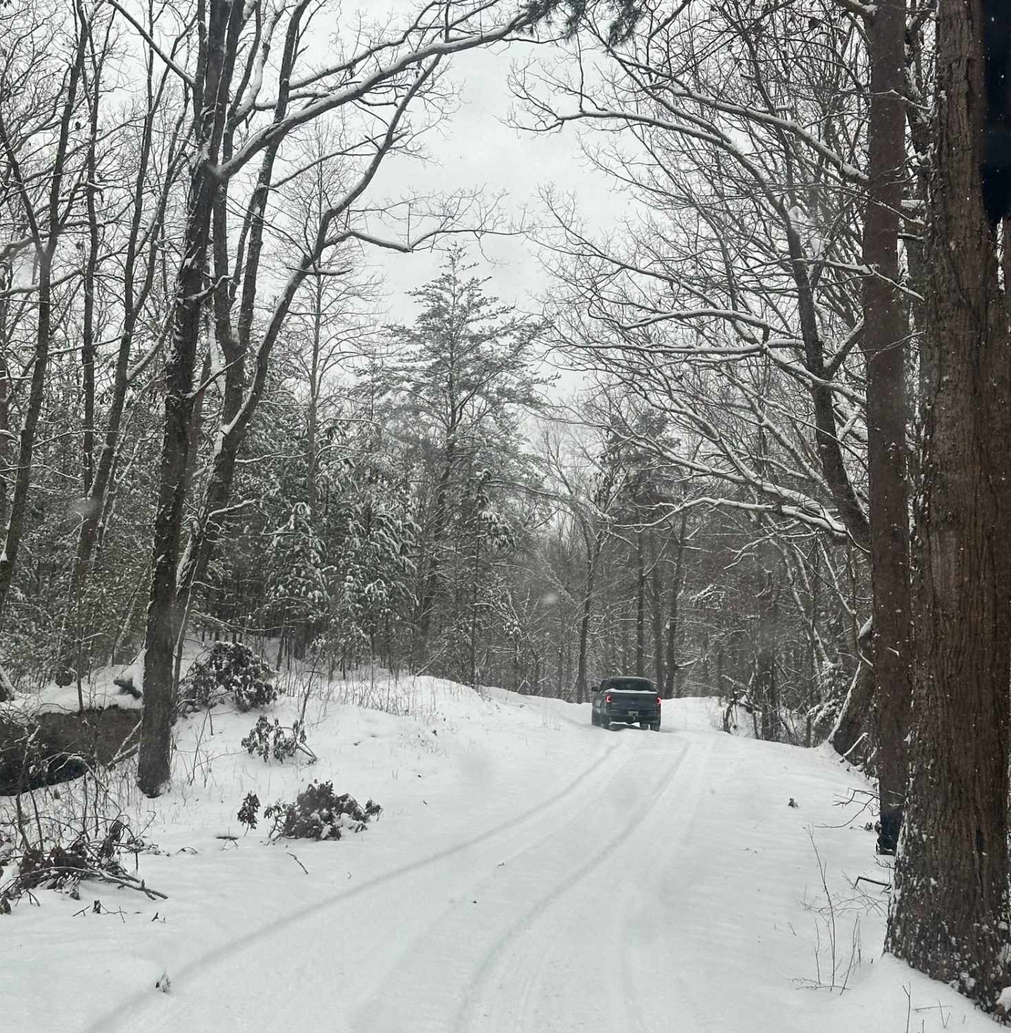 Cromer Ridge - 909