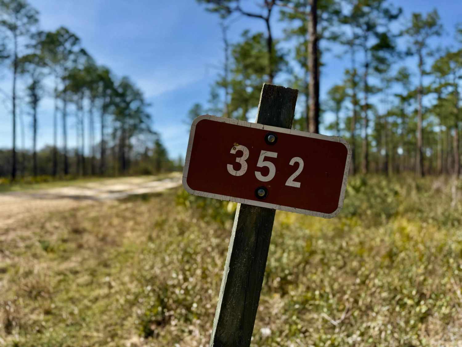 Lost Road 352