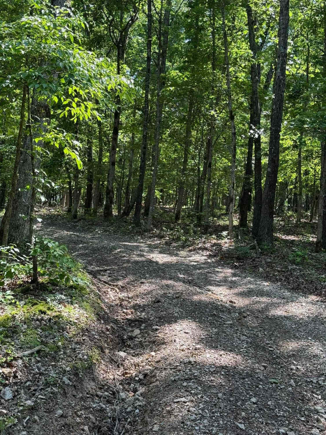 Emma's Trail