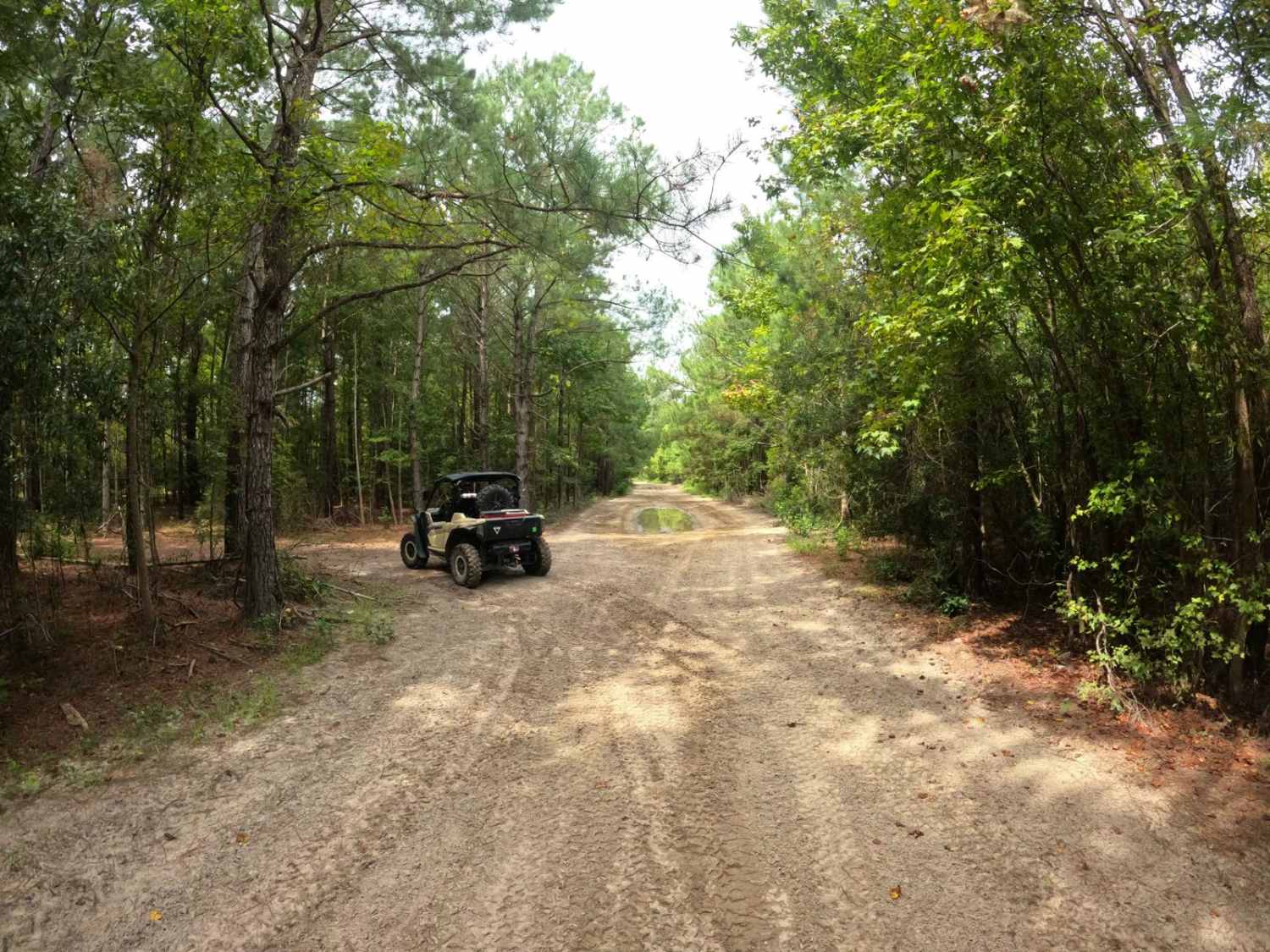 Helena Gap