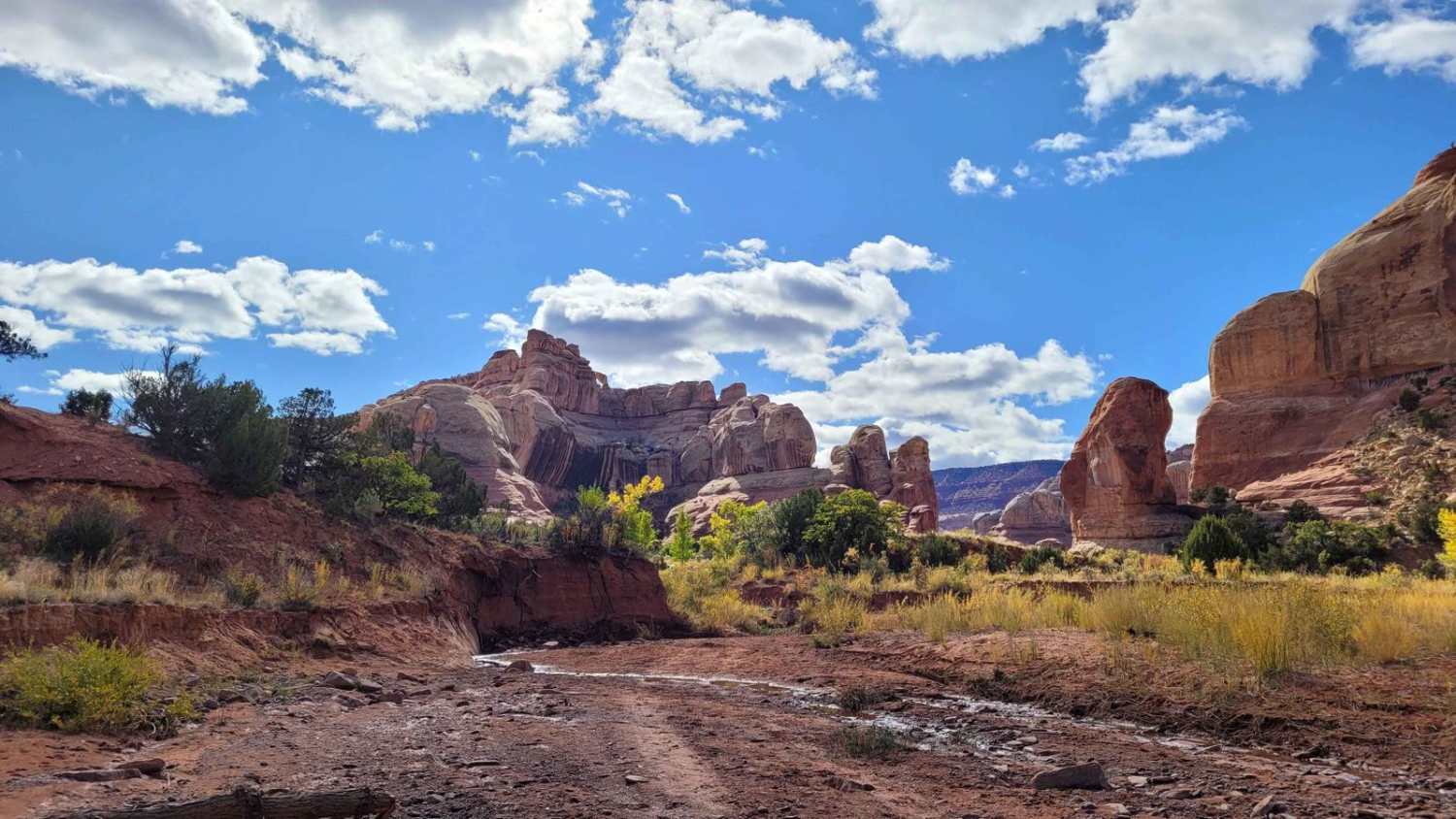 Lavender Canyon