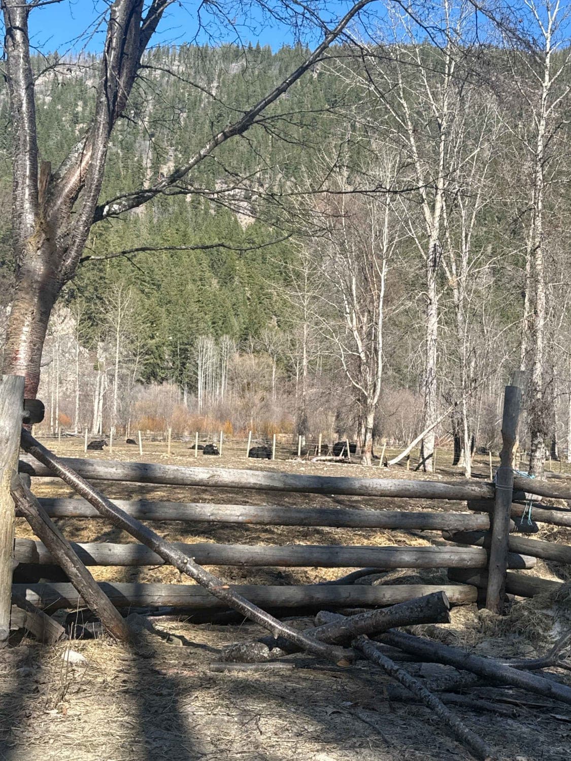 Fish Lake Road