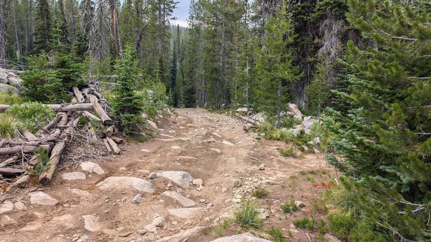 Grouse Creek - Marshall Mountain Road - FS 325