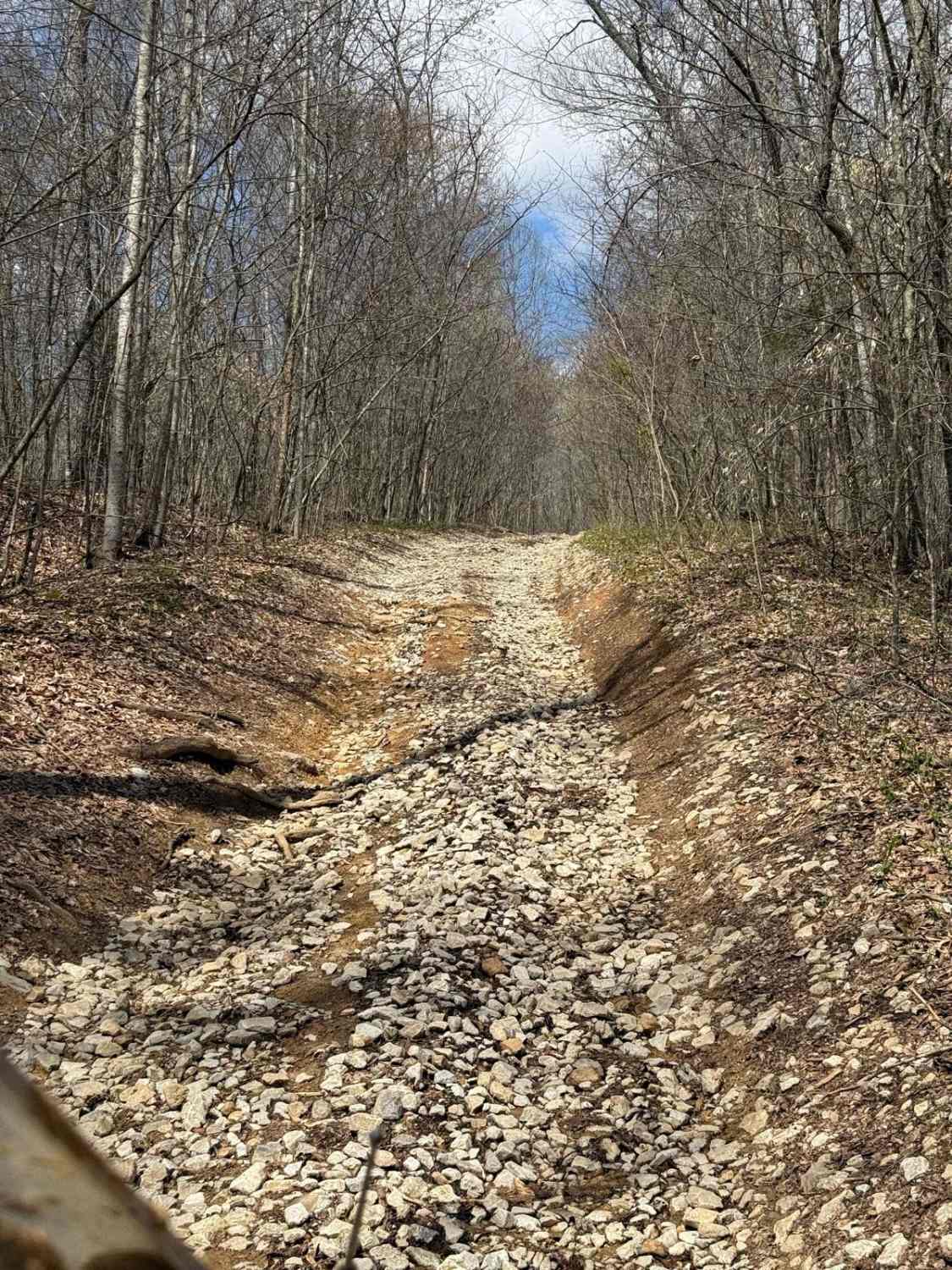 Billey Fork Road