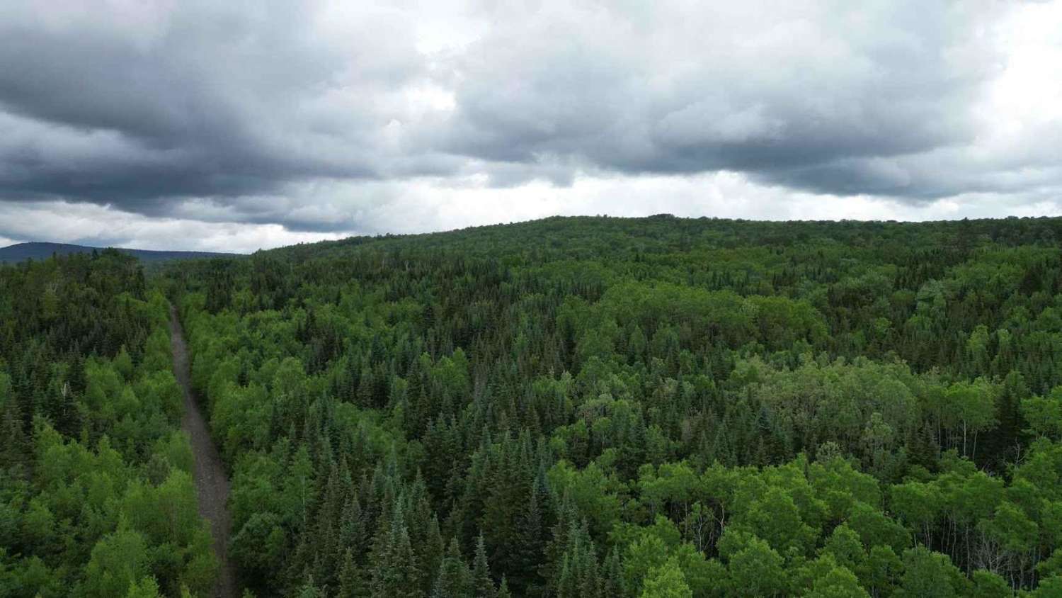 Upper Stone Ridge Winter Run
