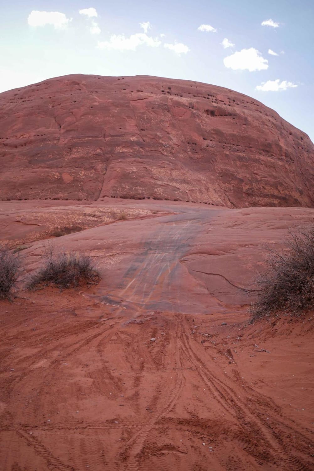 Brian's Trail 