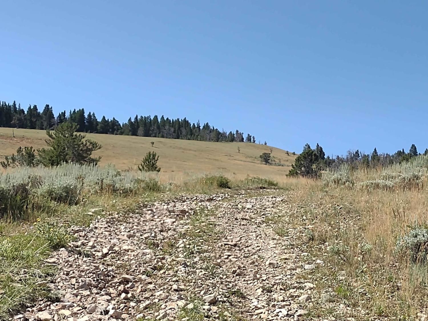 Limestone Trail (FS 327)