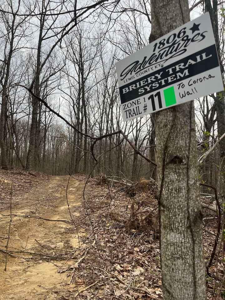 Trail 11