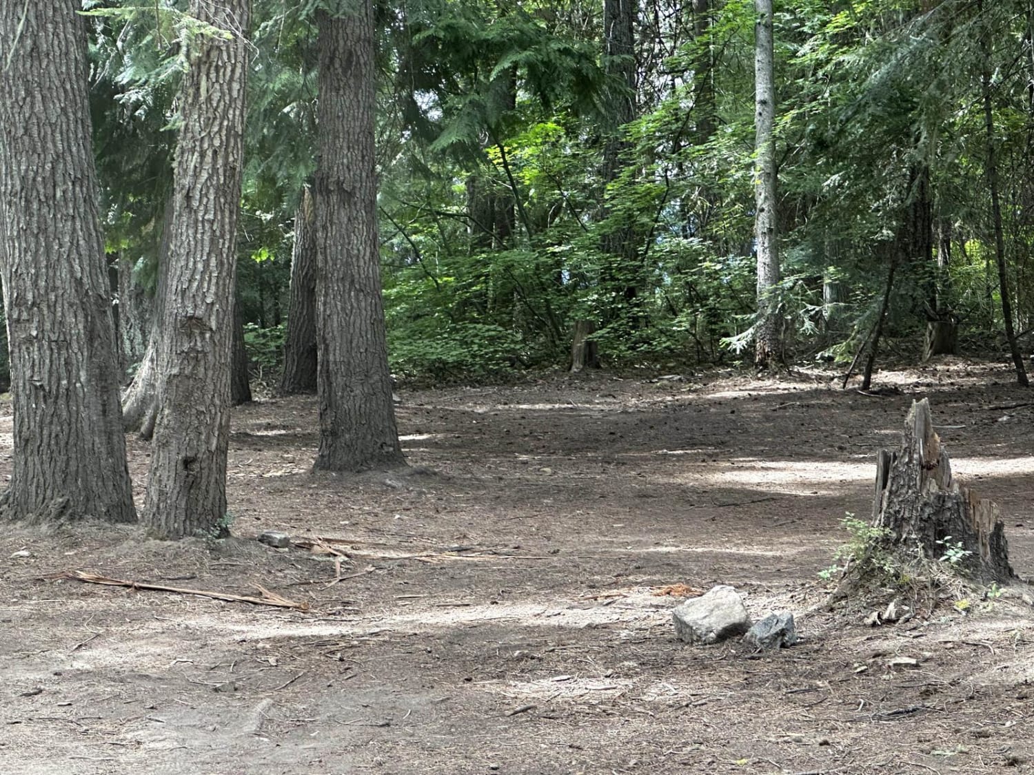 Deer Camp Trail