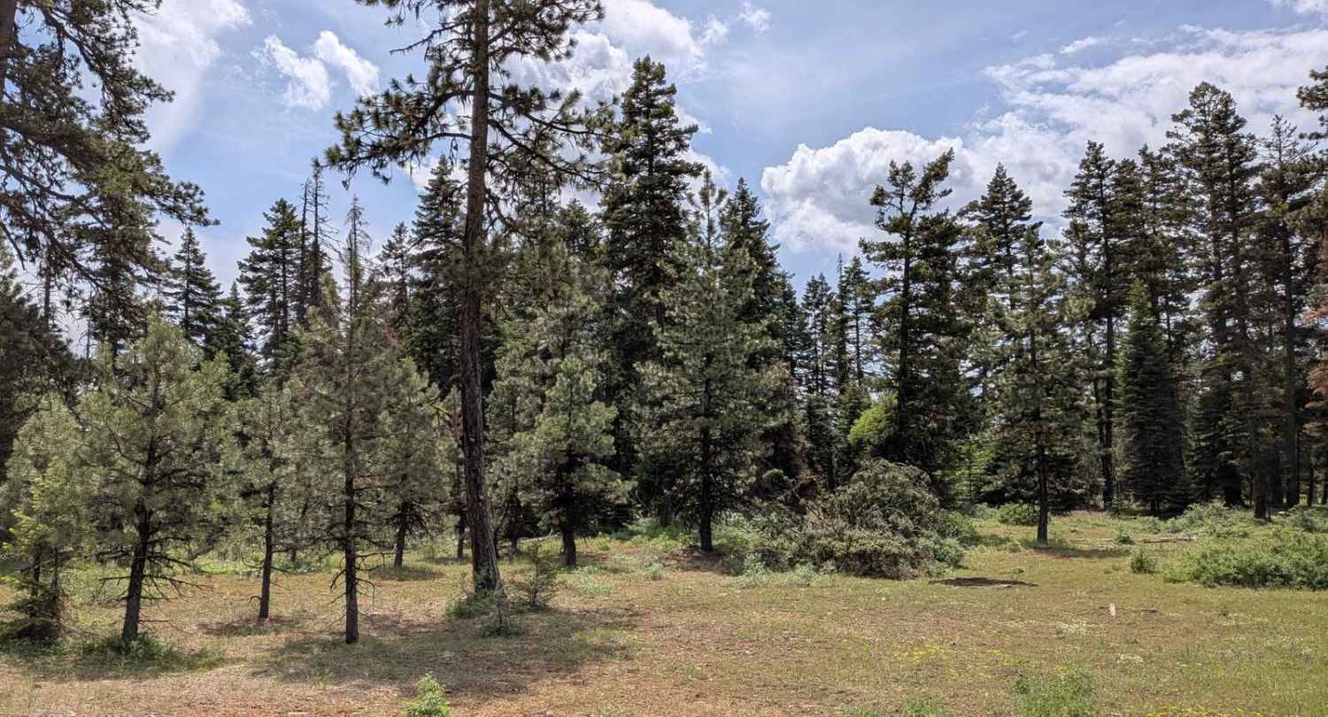 Wellamockin Road North NF46