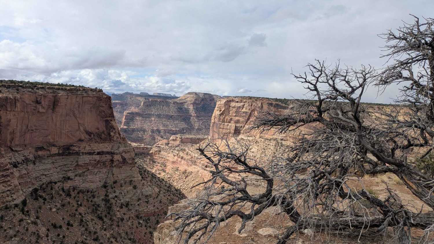 Wedge Cutoff Road - CR 406