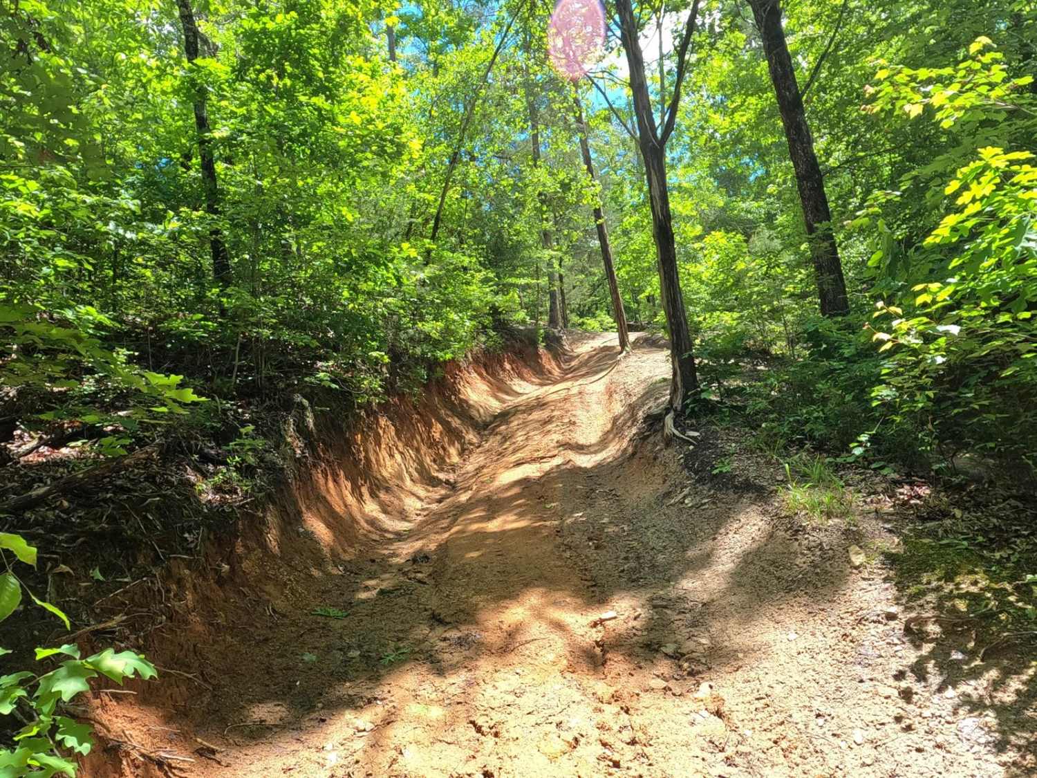 Papa Gulch Bypass